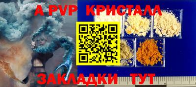 молекула духа Будённовск