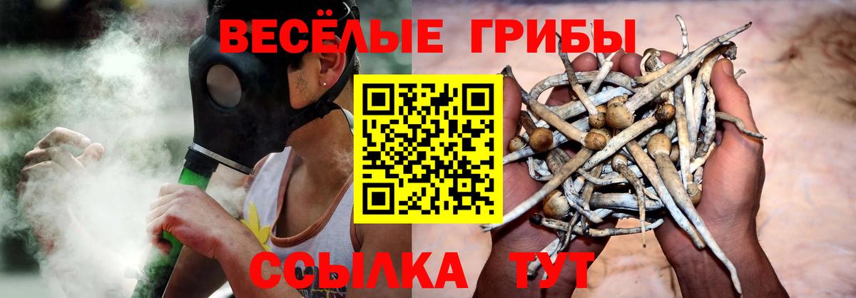 Псилоцибиновые грибы Cubensis Щёкино